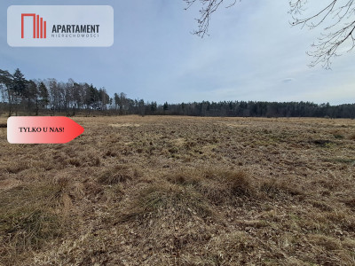 Działka  1140 ha w lesie przy rzece Wda-Smolniki - Smolniki  -
Pomorskie Zdjęcie nr 3