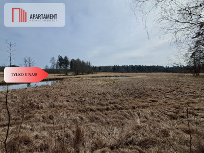 Działka  1140 ha w lesie przy rzece Wda-Smolniki - Smolniki  -
Pomorskie Zdjęcie nr 5