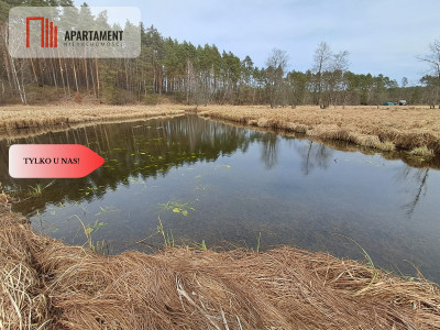 Działka  1140 ha w lesie przy rzece Wda-Smolniki - Smolniki  -
Pomorskie Zdjęcie nr 6