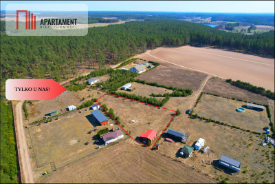 Działka rekreacyjna z domkiem letniskowym - Lipnica  -
Pomorskie Zdjęcie nr 2