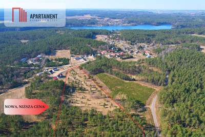 Działka z potencjałem inwestycyjnym na Kaszubach - Przewóz  -
Pomorskie Zdjęcie nr 4