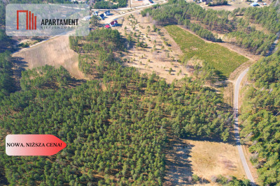 Działka z potencjałem inwestycyjnym na Kaszubach - Przewóz  -
Pomorskie Zdjęcie nr 5