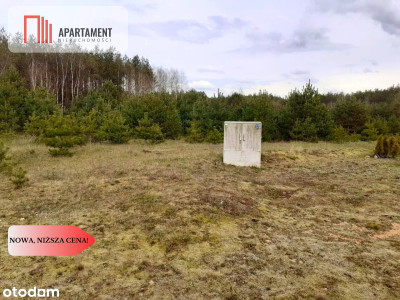 Działka z potencjałem inwestycyjnym na Kaszubach - Przewóz  -
Pomorskie Zdjęcie nr 7