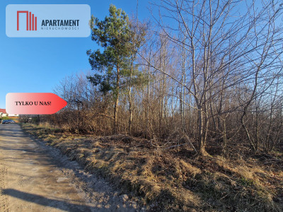 Działka budowlana w Nowym Bukowcu - Nowy Bukowiec  -
Pomorskie Zdjęcie nr 4