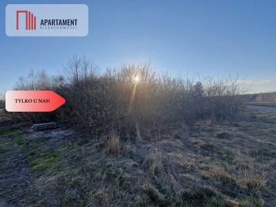 Działka budowlana w Nowym Bukowcu - Nowy Bukowiec  -
Pomorskie Zdjęcie nr 5