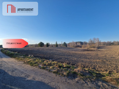 Działka budowlana w Nowym Bukowcu - Nowy Bukowiec  -
Pomorskie Zdjęcie nr 8