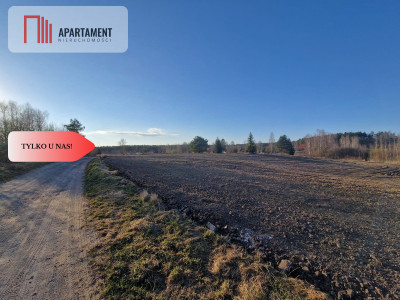 Działka budowlana w Nowym Bukowcu - Nowy Bukowiec  -
Pomorskie Zdjęcie nr 9