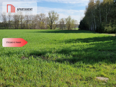 Działki budowlane niedaleko jeziora - Kołdrąb  -
Kujawsko-Pomorskie Zdjęcie nr 2