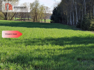 Działki budowlane niedaleko jeziora - Kołdrąb  -
Kujawsko-Pomorskie Zdjęcie nr 3