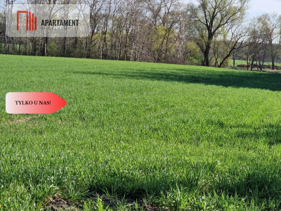 Działki budowlane niedaleko jeziora - Kołdrąb  -
Kujawsko-Pomorskie Zdjęcie nr 4