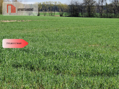 Działki budowlane niedaleko jeziora - Kołdrąb  -
Kujawsko-Pomorskie Zdjęcie nr 5