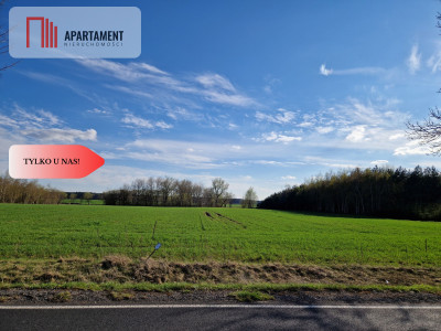 Działki budowlane niedaleko jeziora - Kołdrąb  -
Kujawsko-Pomorskie Zdjęcie nr 6