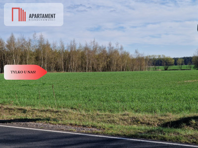 Działki budowlane niedaleko jeziora - Kołdrąb  -
Kujawsko-Pomorskie Zdjęcie nr 7