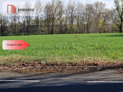 Działki budowlane niedaleko jeziora - Kołdrąb  -
Kujawsko-Pomorskie Zdjęcie nr 8