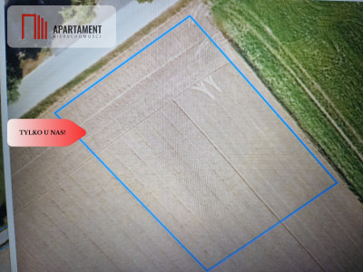 Działki budowlane z WZ w ładnej okolicy - Rogowo  -
Kujawsko-Pomorskie Zdjęcie nr 2