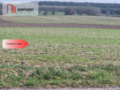 Działki budowlane z WZ w ładnej okolicy - Rogowo  -
Kujawsko-Pomorskie Zdjęcie nr 3