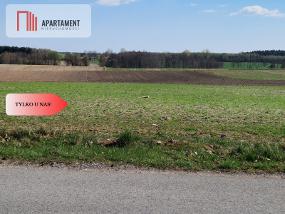 Działki budowlane z WZ w ładnej okolicy - Rogowo  -
Kujawsko-Pomorskie Zdjęcie nr 4