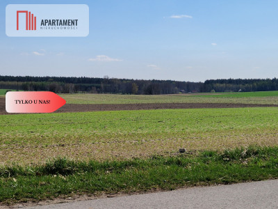 Działki budowlane z WZ w ładnej okolicy - Rogowo  -
Kujawsko-Pomorskie Zdjęcie nr 5