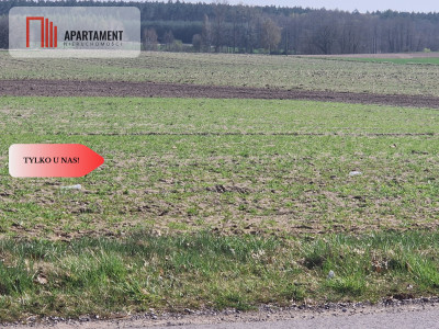 Działki budowlane z WZ w ładnej okolicy - Rogowo  -
Kujawsko-Pomorskie Zdjęcie nr 6