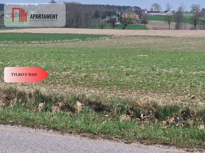 Działki budowlane z WZ w ładnej okolicy - Rogowo  -
Kujawsko-Pomorskie Zdjęcie nr 7
