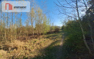 Działka mieszkaniowo-usługowa - Ujście  -
Wielkopolskie Zdjęcie nr 4