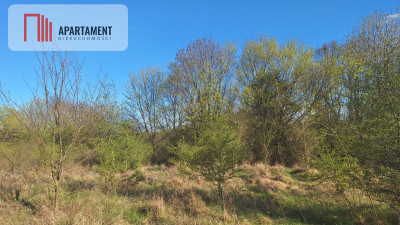 Działki z MPZP - Ujście  -
Wielkopolskie Zdjęcie nr 2