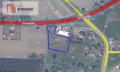 Działka 3000m2 przy DW221 - Lubań - Lubań  -
Pomorskie Zdjęcie nr 6