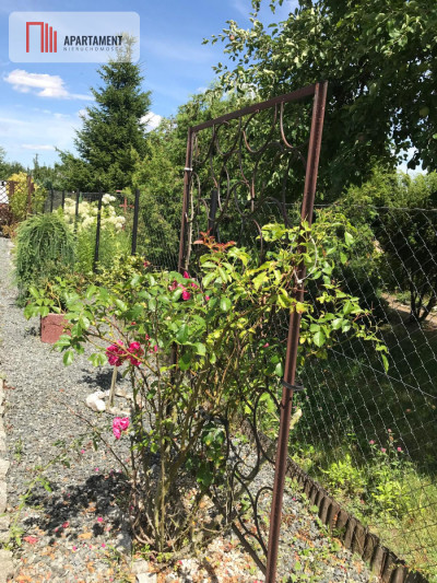 Działka ROD Jedność - świetne położenie - Nakło Nad Notecią  -
Kujawsko-Pomorskie Zdjęcie nr 10