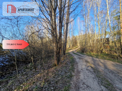 Działka siedliskowa 2 ha w Skorzewie - Skorzewo  -
Pomorskie Zdjęcie nr 7