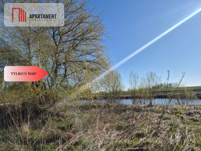 Gotowa działka budowlana w Więckowach - Więckowy  -
Pomorskie Zdjęcie nr 14