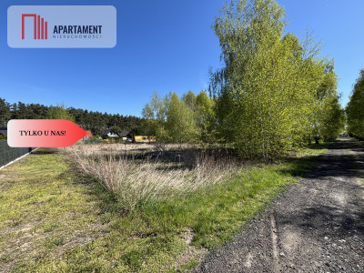 30 min od Wrocławia Piękna spokojna Lokalizacja - Kobylice  -
Dolnośląskie Zdjęcie nr 4