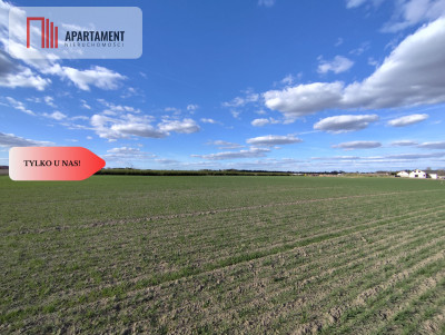 Działki budowlane w Wiśniewie w okolicy Sępólna - Wiśniewa  -
Kujawsko-Pomorskie Zdjęcie nr 2