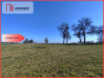 Działki budowlane w Jastrzębcu - Jastrzębiec  -
Kujawsko-Pomorskie Zdjęcie nr 2