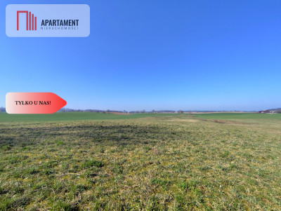 Działki budowlane w Jastrzębcu - Jastrzębiec  -
Kujawsko-Pomorskie Zdjęcie nr 4