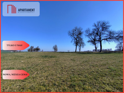 Działki w super cenie z decyzją o wz Jastrzębiec - Jastrzębiec  -
Kujawsko-Pomorskie Zdjęcie nr 2