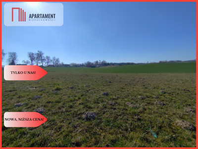 Działki w super cenie z decyzją o wz Jastrzębiec - Jastrzębiec  -
Kujawsko-Pomorskie Zdjęcie nr 5