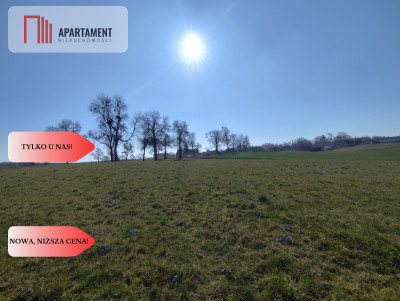 Działki w super cenie z decyzją o wz Jastrzębiec - Jastrzębiec  -
Kujawsko-Pomorskie Zdjęcie nr 6