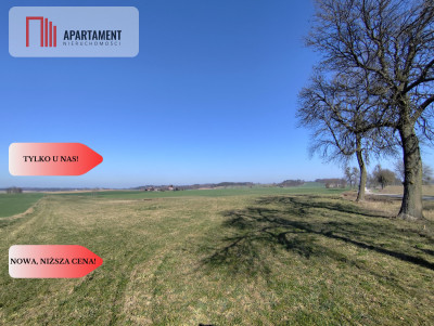 Działki w super cenie z decyzją o wz Jastrzębiec - Jastrzębiec  -
Kujawsko-Pomorskie Zdjęcie nr 7