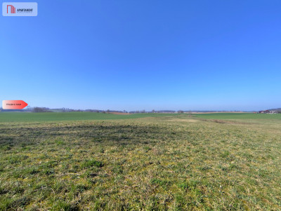 Działki w super cenie z decyzją o wz Jastrzębiec - Jastrzębiec  -
Kujawsko-Pomorskie Zdjęcie nr 8