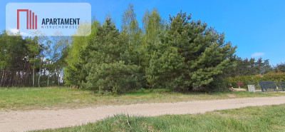 Działka z widokiem na jezioro - MPZP - Kierzkowo  -
Kujawsko-Pomorskie Zdjęcie nr 10