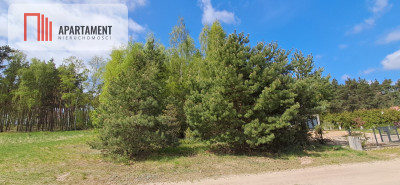 Działka z widokiem na jezioro - MPZP - Kierzkowo  -
Kujawsko-Pomorskie Zdjęcie nr 4