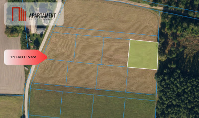Działka z WZ ze ścianą lasu - Łabiszyn-Wieś  -
Kujawsko-Pomorskie Zdjęcie nr 5