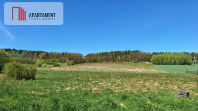 Działka 2500 m2 Czernikowice przy lesie - Czernikowice  - Dolnośląskie