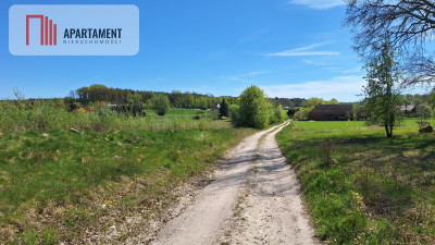 Działka 2500 m2 Czernikowice przy lesie - Czernikowice  -
Dolnośląskie Zdjęcie nr 4
