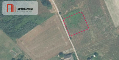Działka 2500 m2 Czernikowice przy lesie - Czernikowice  -
Dolnośląskie Zdjęcie nr 5