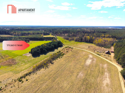 Działka z pięknym widokiem na polany Las - Lubocień  -
Kujawsko-Pomorskie Zdjęcie nr 8
