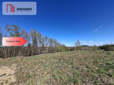 Działka nad jeziorem Jeleń - Pomysk Wielki  - Pomorskie