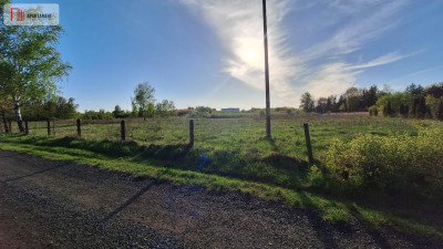 Działka przemysłowa  usługowa 118 ha - Grzybiany  -
Dolnośląskie Zdjęcie nr 3
