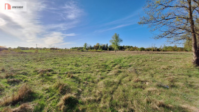 Działka przemysłowa  usługowa 118 ha - Grzybiany  -
Dolnośląskie Zdjęcie nr 4