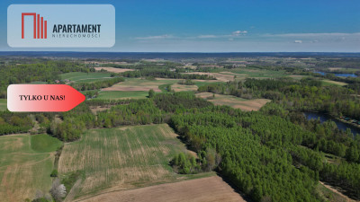 3 ha las staw  Wydane warunki zabudowy - Jeleńcz  -
Pomorskie Zdjęcie nr 12